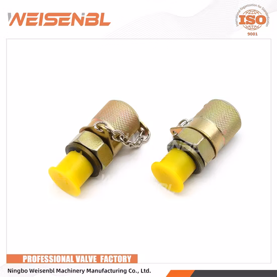 Adaptateur de tuyau de test de jauge de test de pression de tuyau hydraulique série PT