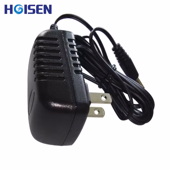 Adaptateur AC/DC série 10V 1A avec prise USA Ce/UL/EMC/LVD/RoHS